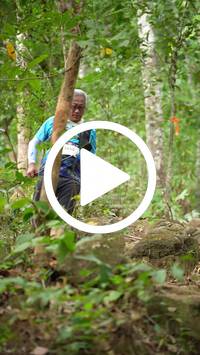 BIB:  <button type="button" onclick="openModal(27587812)" class="btn btn-primary btn-sm float-right" data-toggle="modal" data-target=".modal-high-quality">
                <i class="fa fa-download"></i> Download
                </button>